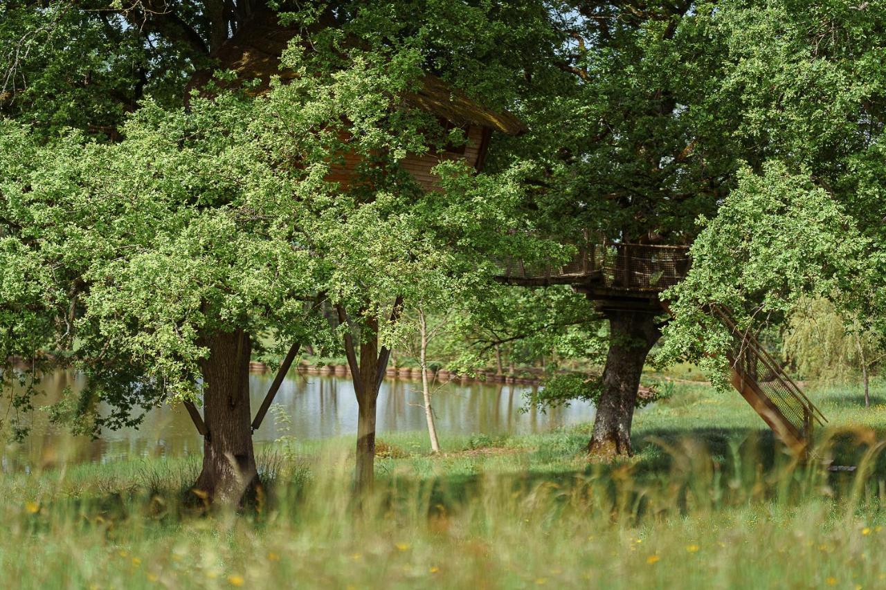 Saint-Hilaire-en-Morvan Cabane Perchee Dans Les Arbres מראה חיצוני תמונה