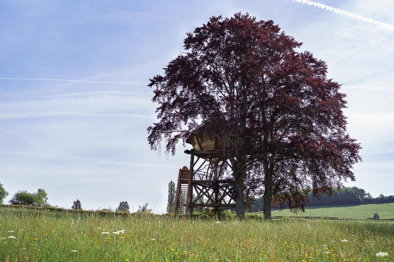 Saint-Hilaire-en-Morvan Cabane Perchee Dans Les Arbres מראה חיצוני תמונה