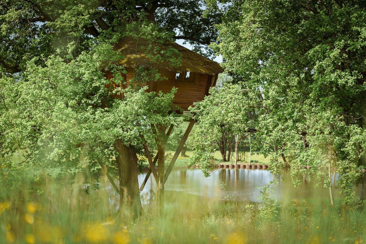 Saint-Hilaire-en-Morvan Cabane Perchee Dans Les Arbres מראה חיצוני תמונה