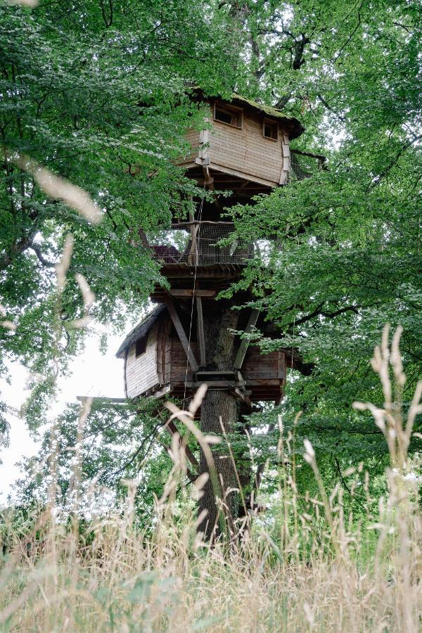 Saint-Hilaire-en-Morvan Cabane Perchee Dans Les Arbres מראה חיצוני תמונה