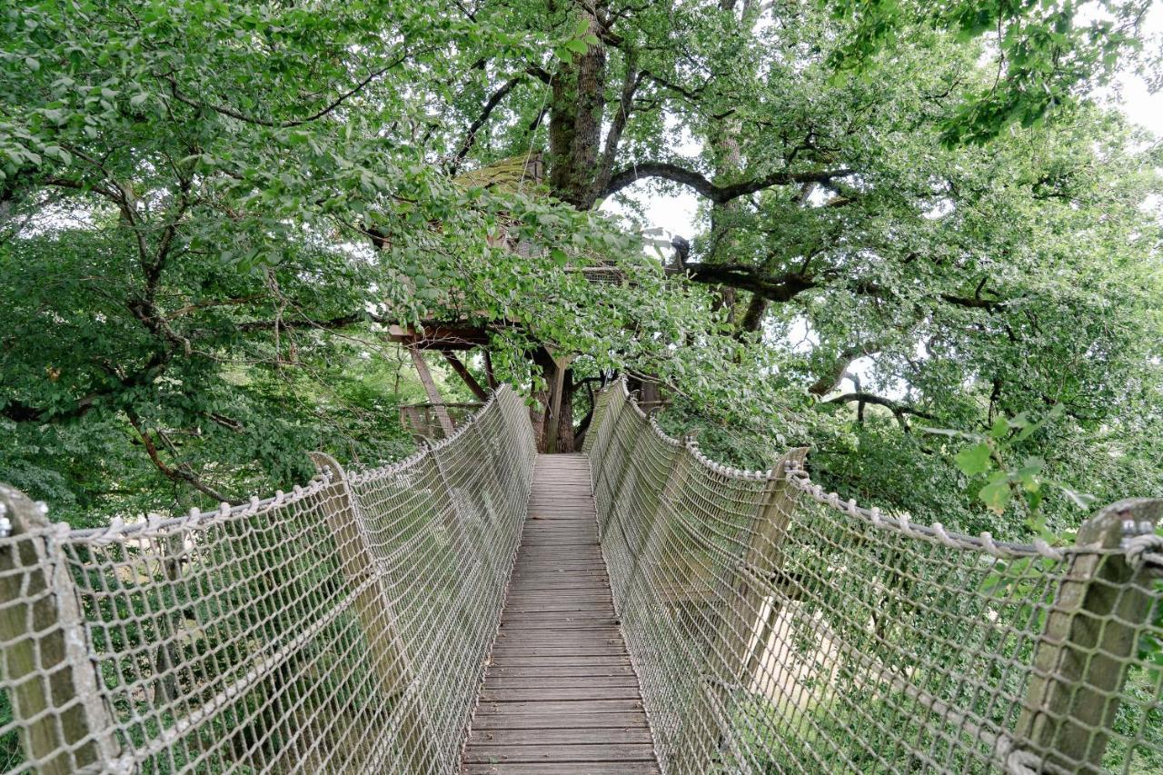 Saint-Hilaire-en-Morvan Cabane Perchee Dans Les Arbres מראה חיצוני תמונה